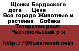 Щенки Бордоского дога.  › Цена ­ 30 000 - Все города Животные и растения » Собаки   . Татарстан респ.,Чистопольский р-н